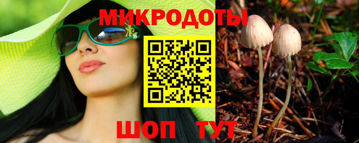 Сергиев Посад  Псилоцибиновые грибы Cubensis  Вход с VPN 