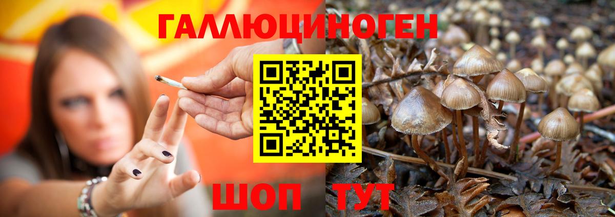 Псилоцибиновые грибы Magic Shrooms Сергиев Посад
